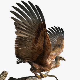 3D Realistic White Chair Armchair Collection - PBR